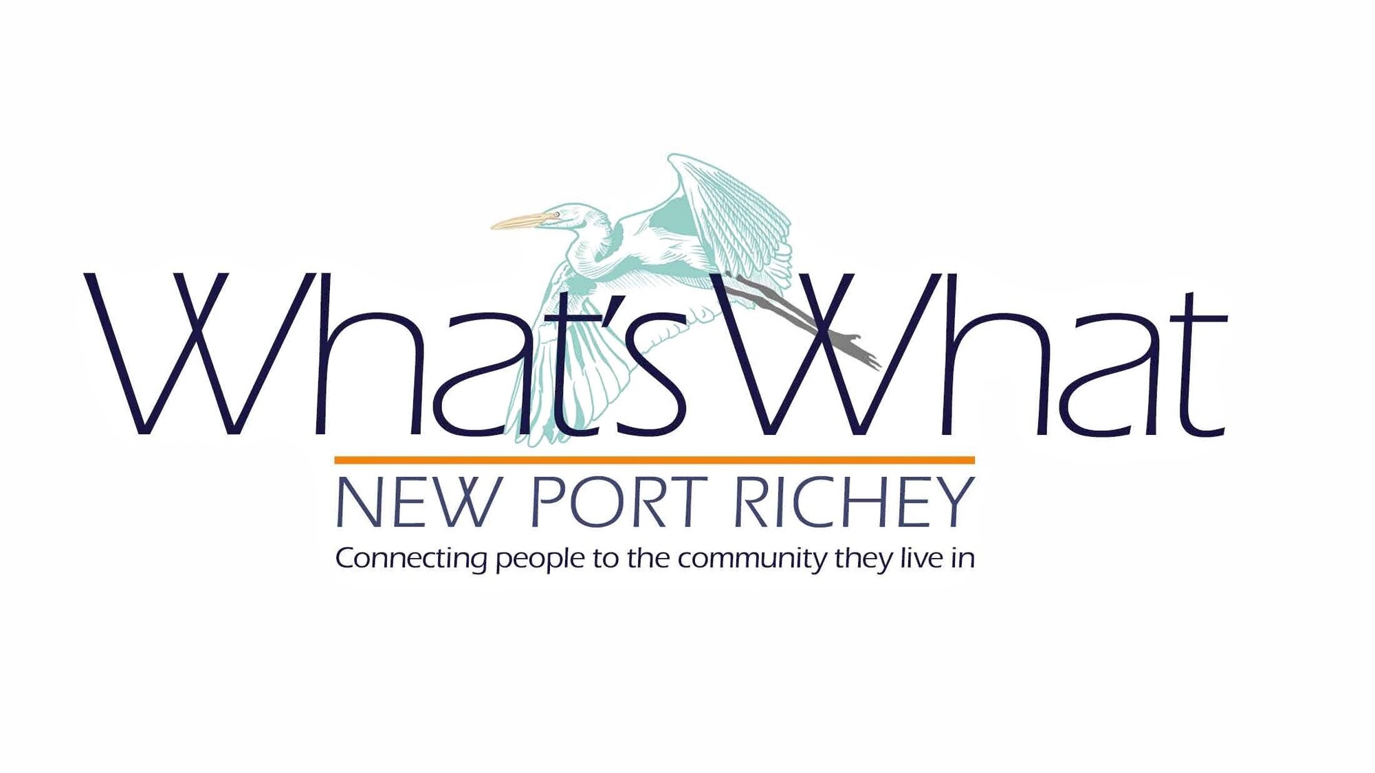 What's What New Port Richey